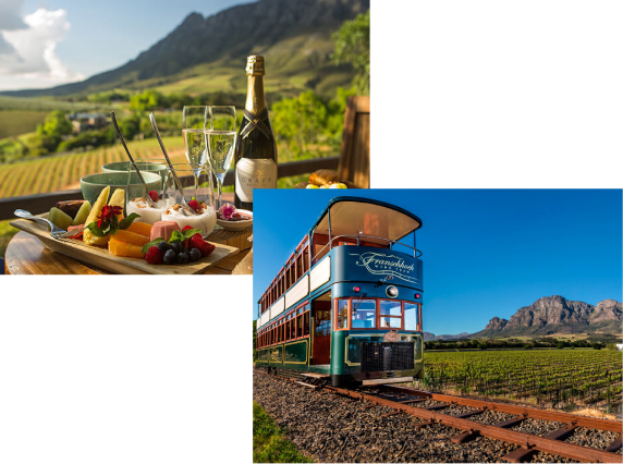 Cape Winelands