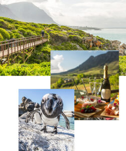 Collage of a coastal boardwalk over green rocks with mountains in the background, plus insets of a wine and cheese spread and a penguin on a rocky shore.