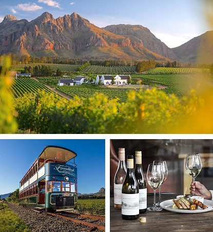 5 days Day 3 – Explore the Cape Winelands Vineyard landscape with a white winery building and rows of grapevines against rugged mountains.