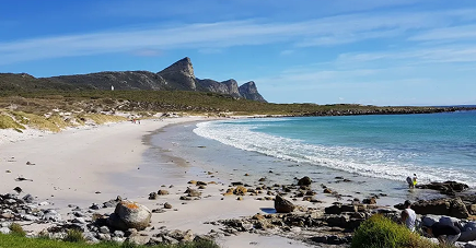 Buffels Bay in the Cape Point Nature Reserve Sunny beach with white sand, turquoise water, and a rocky shore, with distant rugged hills under a blue sky; a person stands near the waterline.
