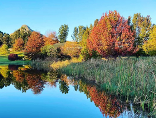 Packing for Autumn Autumn trees in red, orange, and yellow along a calm lake, reflecting in the water; tall reeds line the shore.