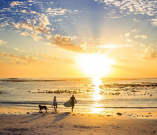Packing for Cape Town in Summer Golden sunset over the ocean; two people and a dog on the wet sand near the shore, one person carrying a surfboard toward the water.