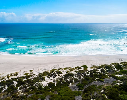 Scarborough Sunny coastal scene with turquoise waves washing onto a white sandy beach, foreground dotted with low green shrubs.