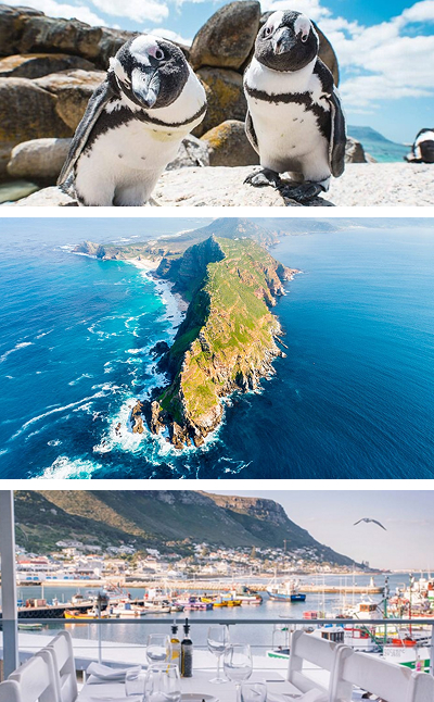 Three Days in Cape Town day 2 Three-panel collage: two penguins on a rocky beach, a green coastal peninsula jutting into the blue sea, and a harbor-side restaurant terrace with boats.