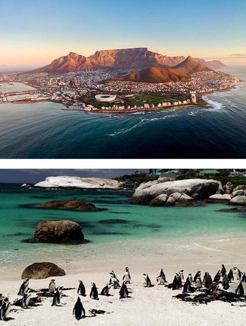 What Should You Pack for a Cape Town Day Trip Aerial view of Cape Town coastline with Table Mountain in the distance at sunset, including a waterfront area and stadium-like building near the water; below, a second image shows a white-sand beach with turquoise water, rocks, and a gang of penguins along the shore.
